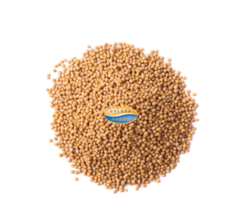 Mustard Seeds Brown 500g